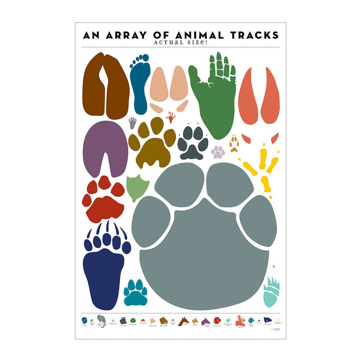 Animal Tracks Chart