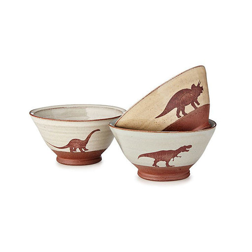 Dinosaur Bowls