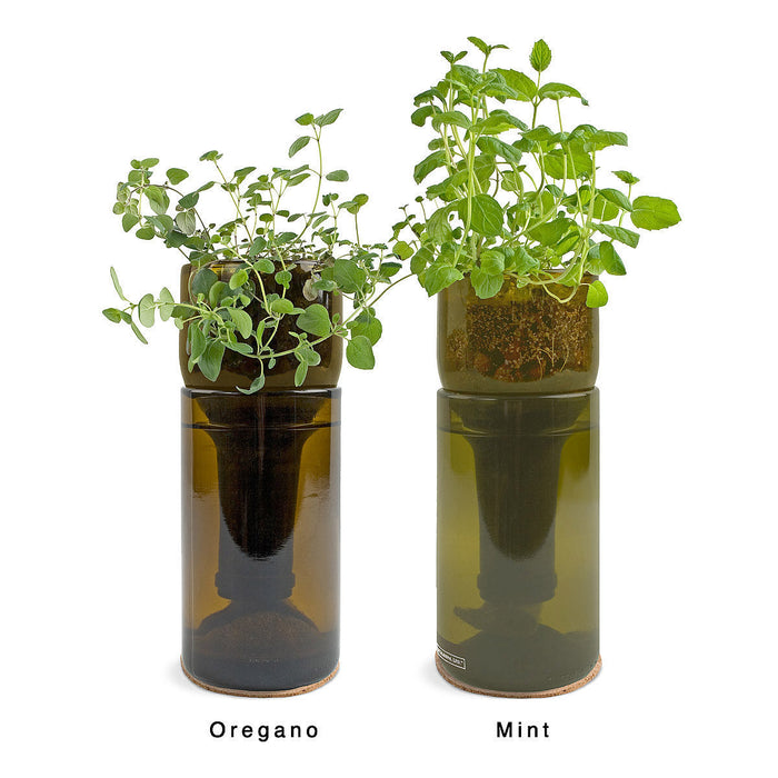 Grow Bottle