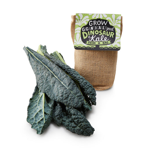 Kale in a Bag Grow Kit