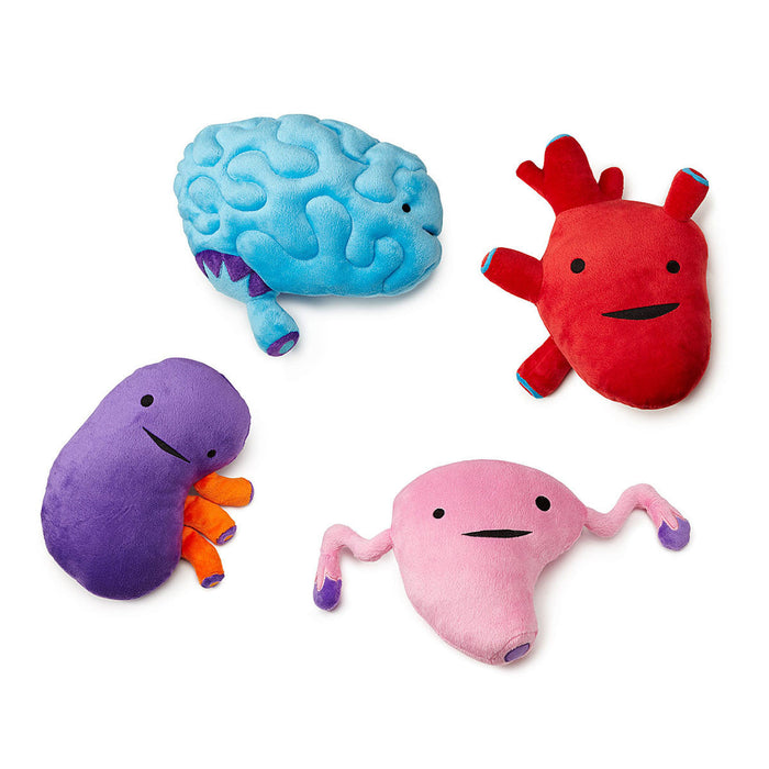 Plush Organs