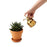 Brass Succulent Mister